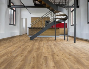 ML1008 My Floor Residence Ламинат "Дуб Макро натуральный"